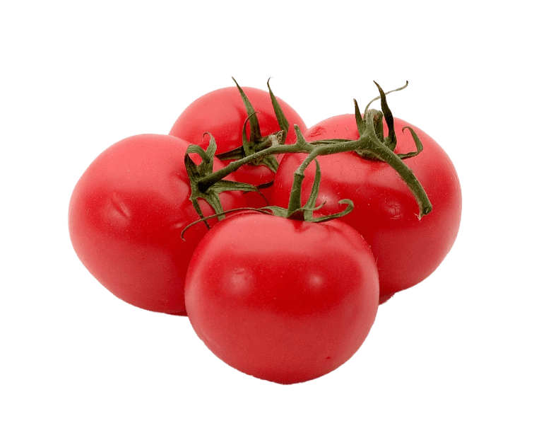 Ντομάτες